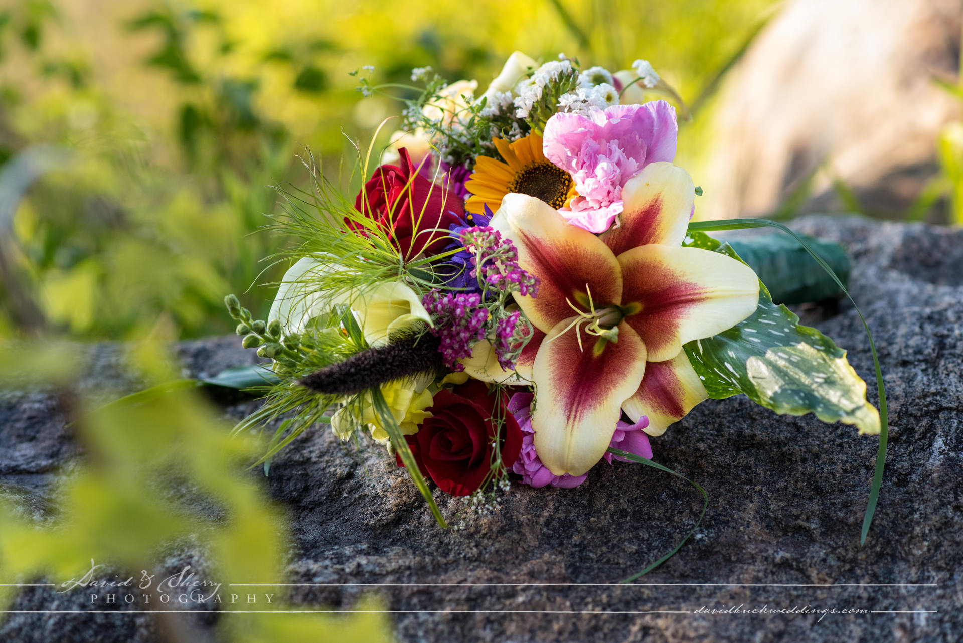 Wiarton_Wedding_Photography_19