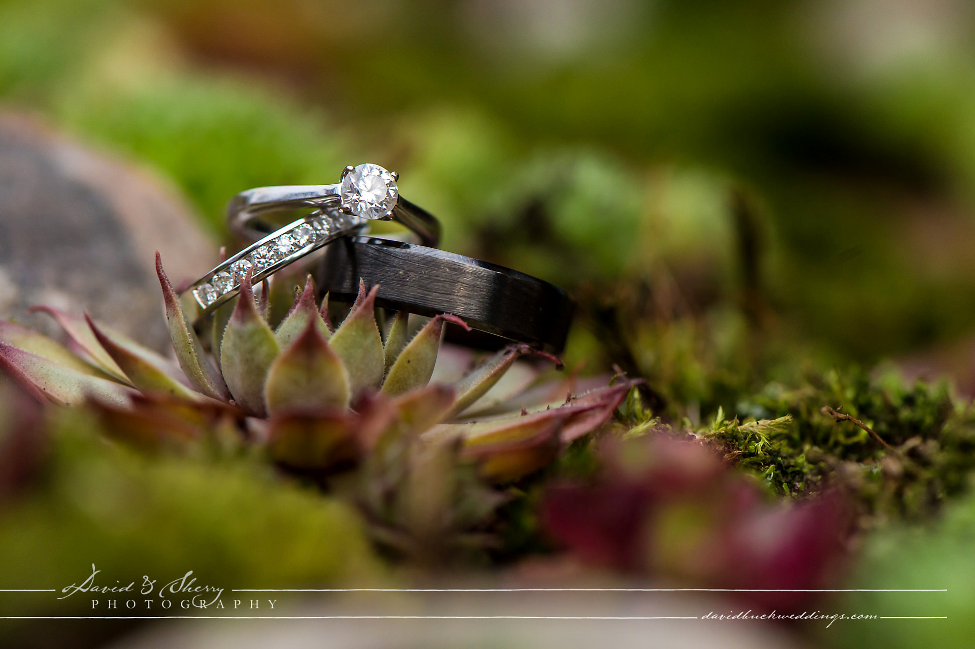 Bracebridge_Wedding_Photography_28