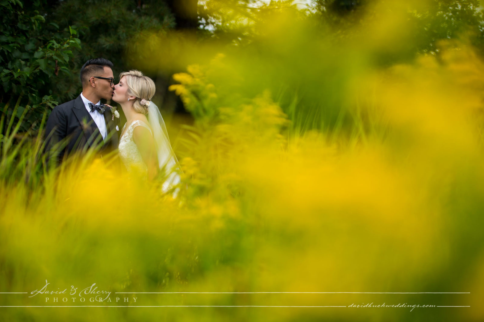 Brooklands Farm Wedding Photos Jose & Diana Blog David & Sherry